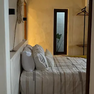 https://casa-malinche.allrivieramayahotels.com